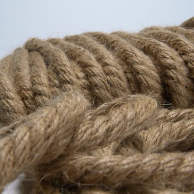 95c19d95 8630 54ce a52b 8a226cac3229